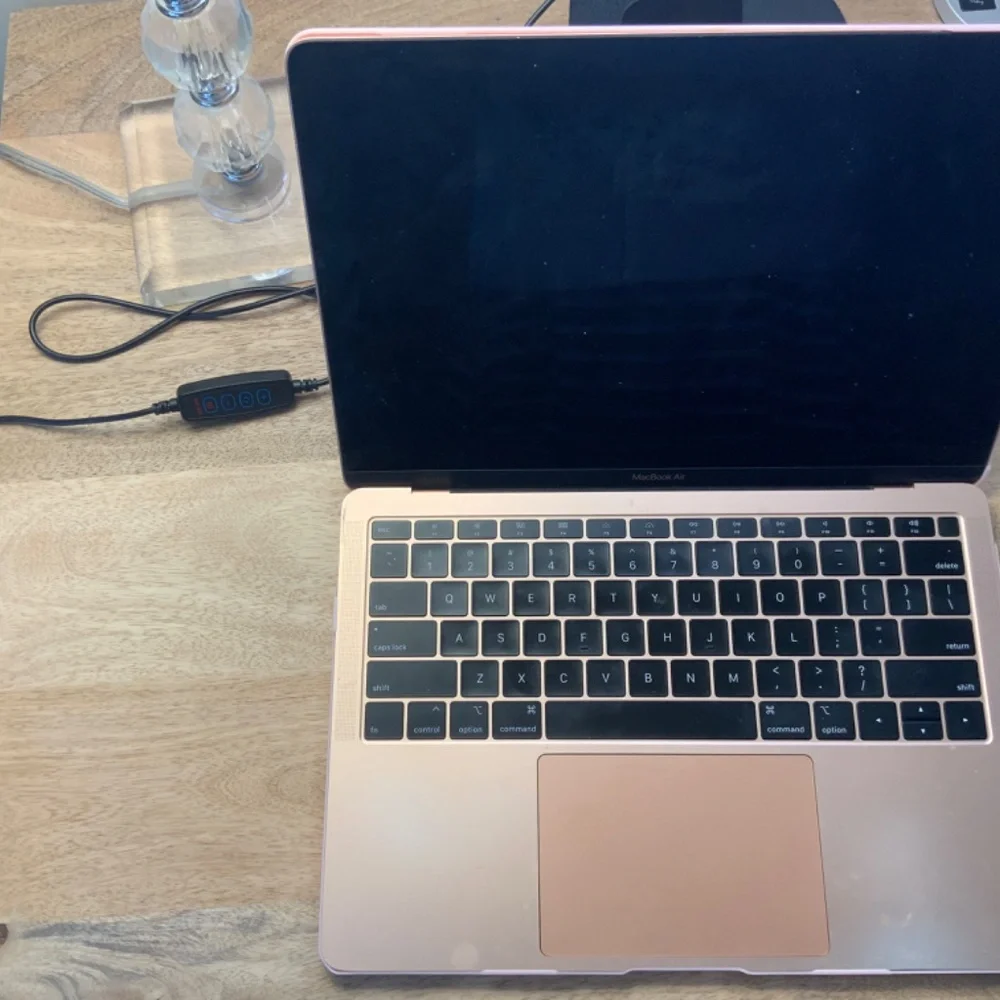 Pink MacBook with pink case and Apple mouse